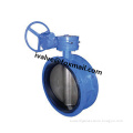 Resilient Seated Double Flanged Butterfly Valve